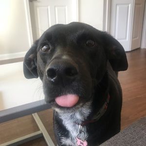 Meet your Posher, Anelia